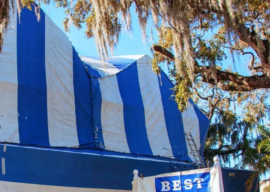 Blue-and-white fumigation tarps over a roofline, a ladder against the tent and Spanish moss above.