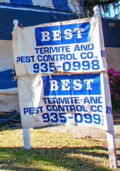 Best Termite and Pest Control yard signs reading 935-0998, staked in front of a tented house.
